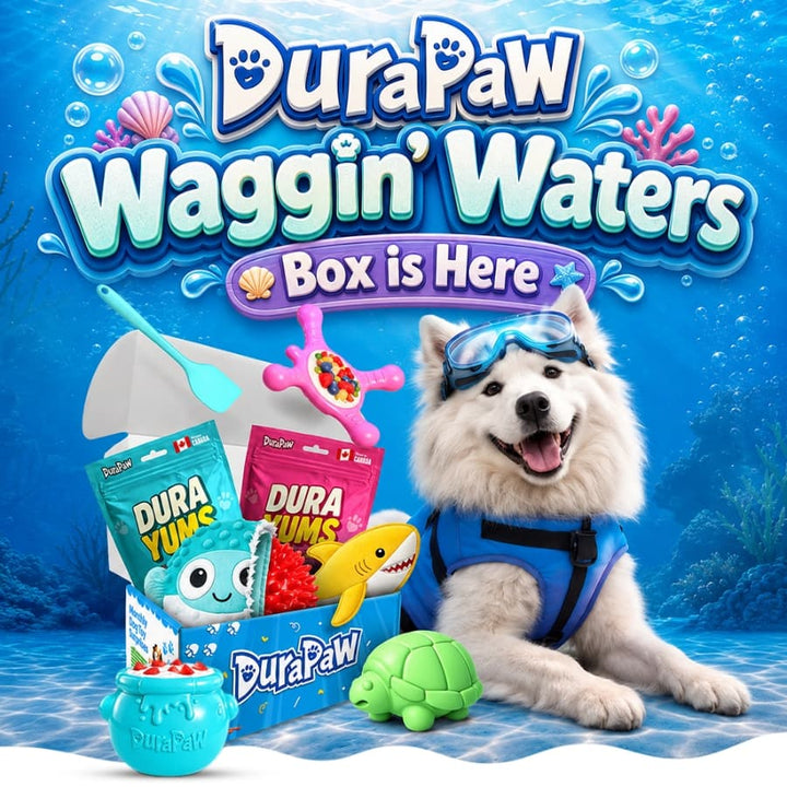 A husky in a life vest and sunglasses with a flamingo toy and a green ball under DuraPaw Waggin' Waters lettering