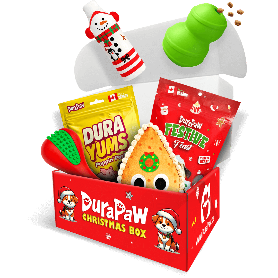Christmas Pawvent Calendar Monthly Dog Toy Subscription Box Theme
