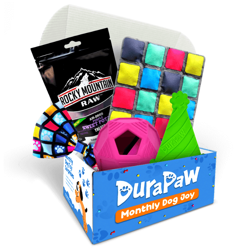 Open box of DuraPaw monthly dog joy subscription with colorful dog toys and Rocky Mountain Raw treats.