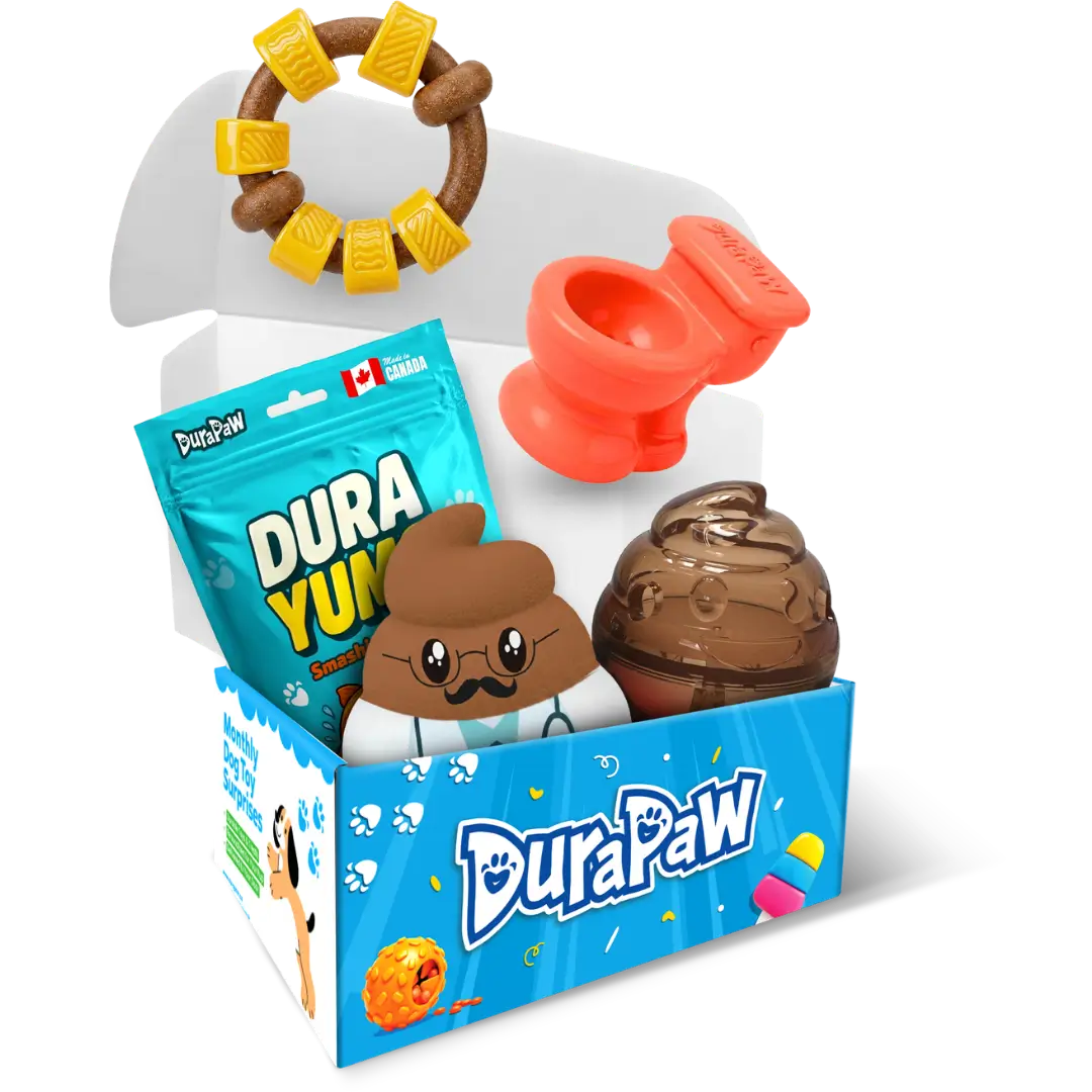 Doody on Duty Theme Monthly Dog Toy Subscription Box Theme