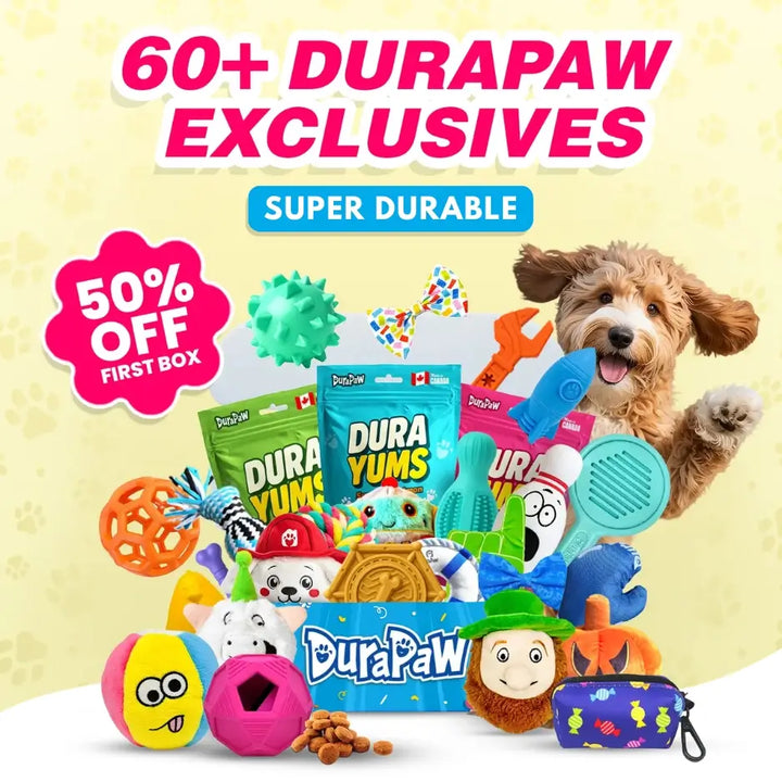 DuraPaw super durable monthly dog toy subscription box overflowing with toys