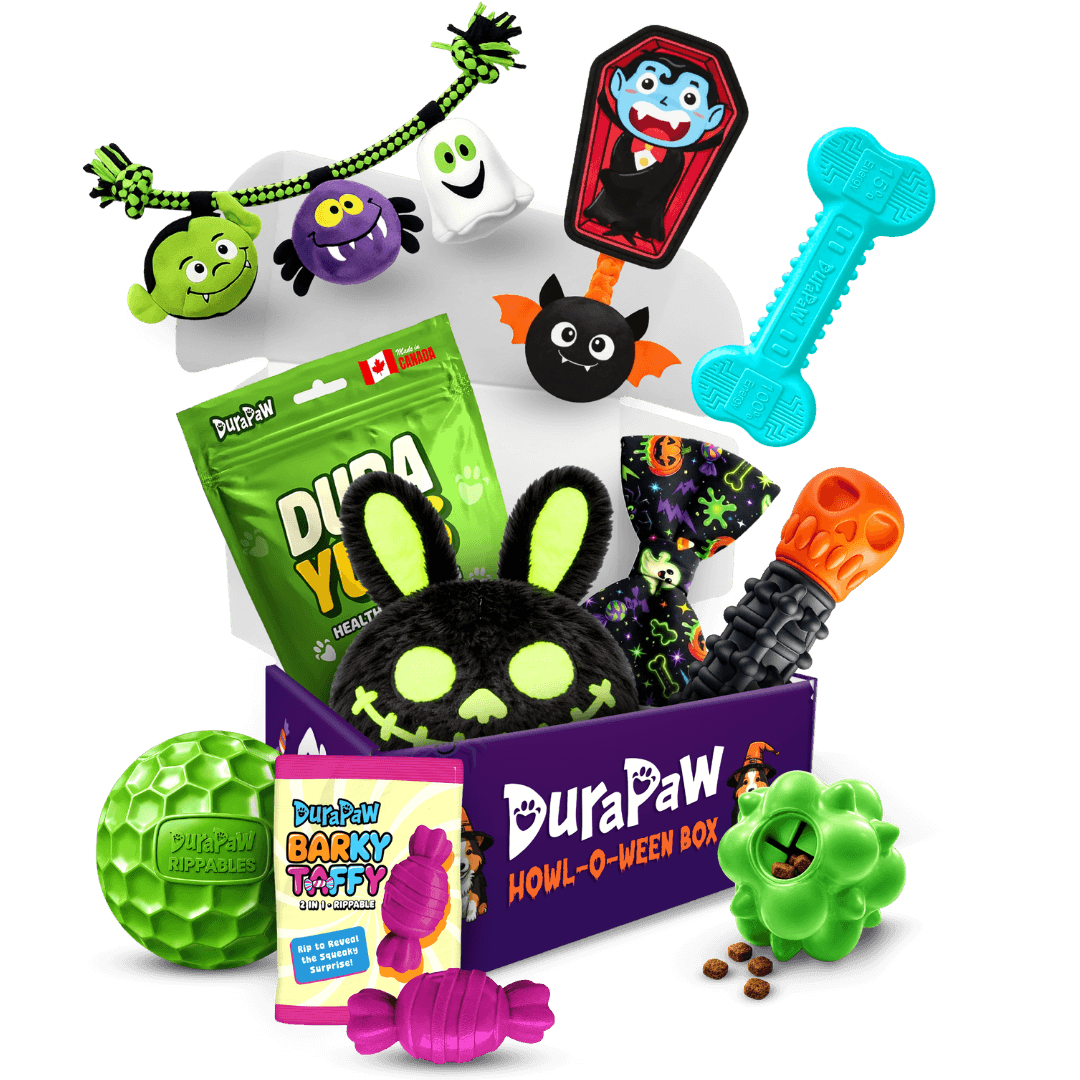 Glow in the Bark: Halloween Edition Box Monthly Dog Toy Subscription Box Theme