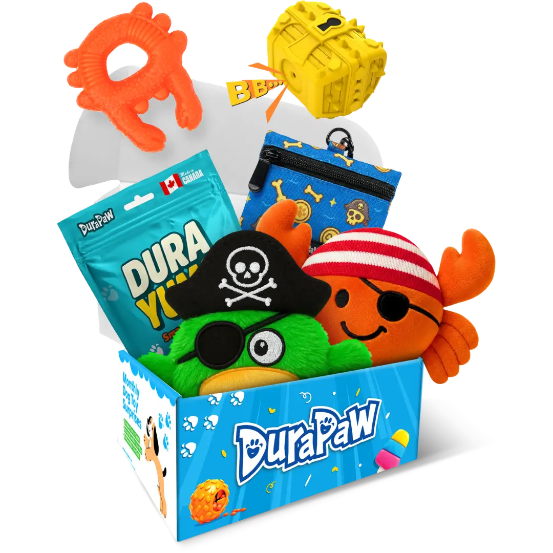 Pawrates of Chew Cove Island Theme Monthly Dog Toy Subscription Box Theme