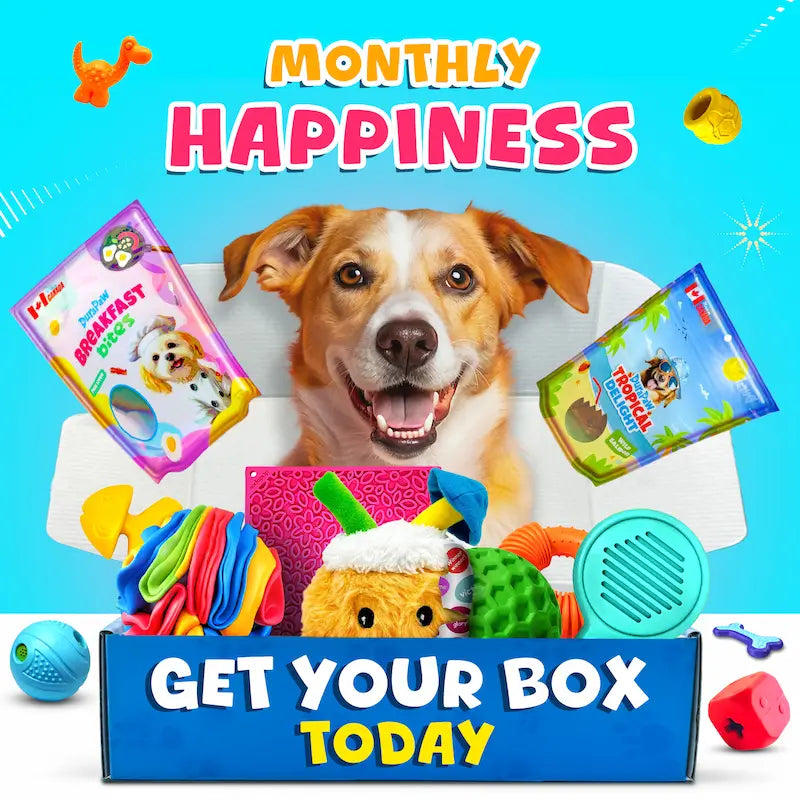 DuraPaw Dog Subscription Box Special Deals
