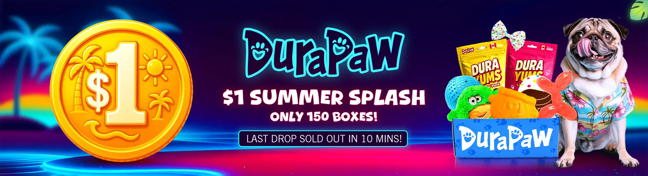 DuraPaw $1 Summer Splash monthly dog subscription box promotion with a dog toy and colorful background