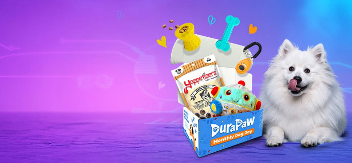 DuraPaw AI-themed dog subscription box with toys, treats, and a fluffy white dog on a futuristic purple and blue background