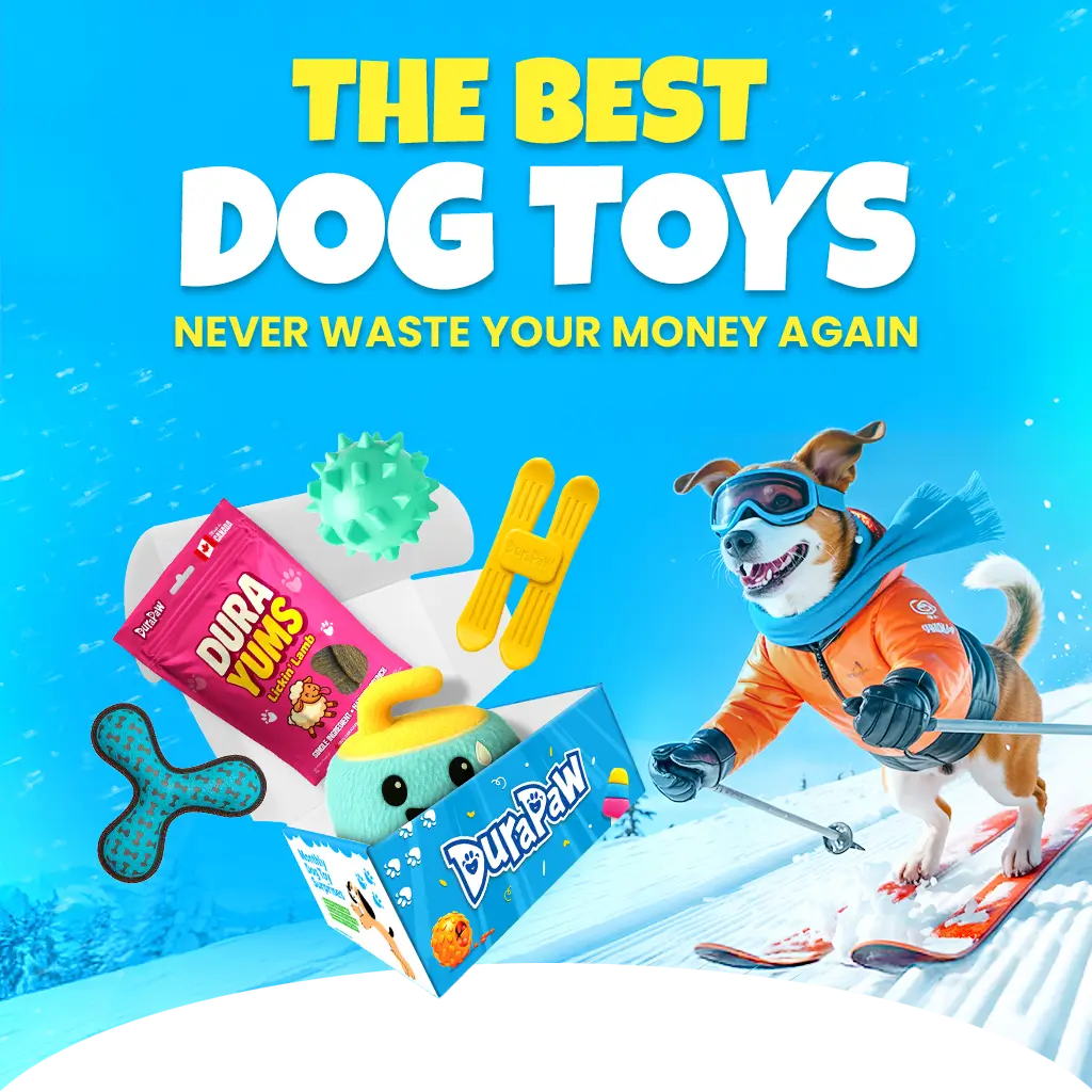 Promotional image of DuraPaw dog toys with a dog in winter gear on a blue background.