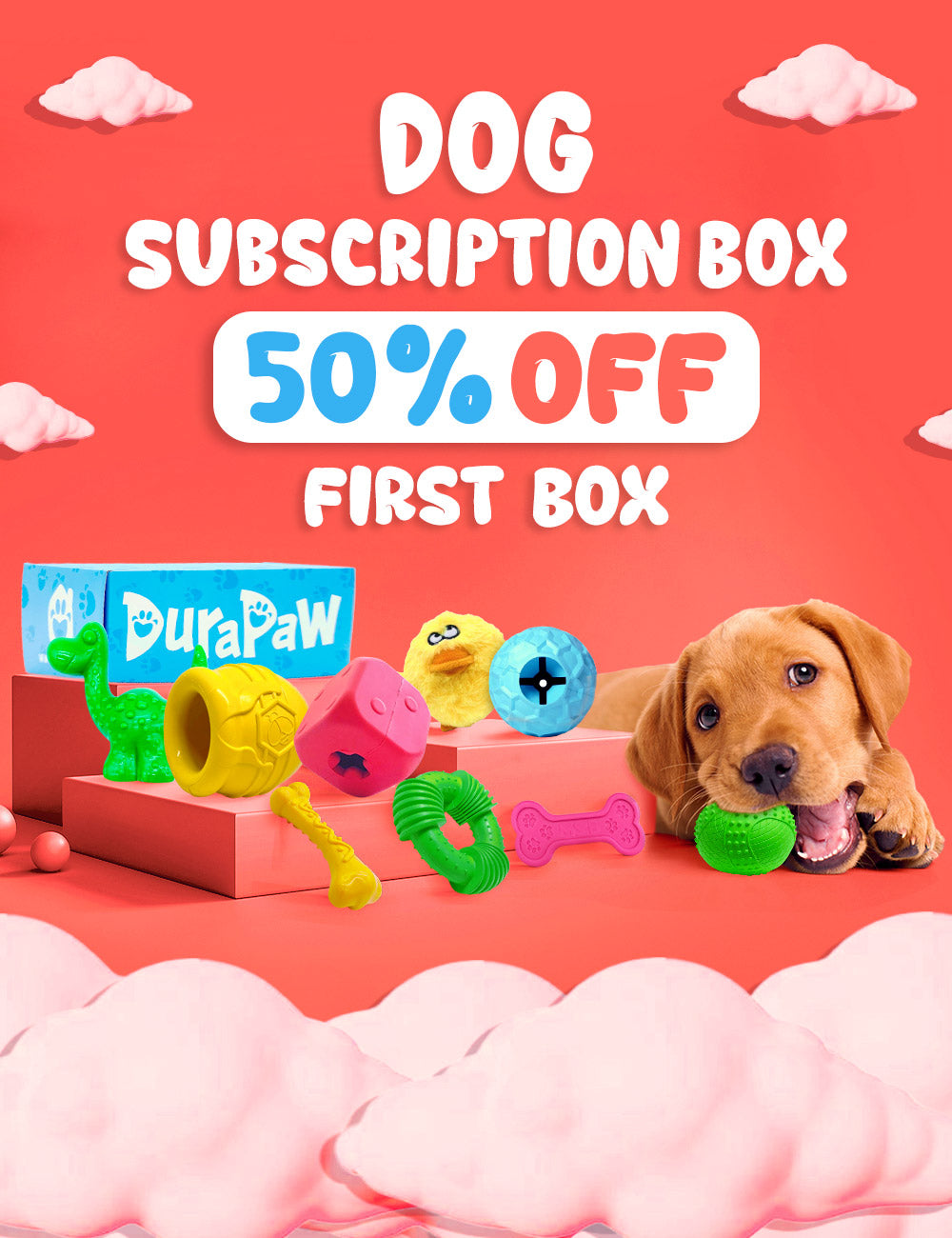 DuraPaw Box The Best Monthly Dog Subscription Box in Canada