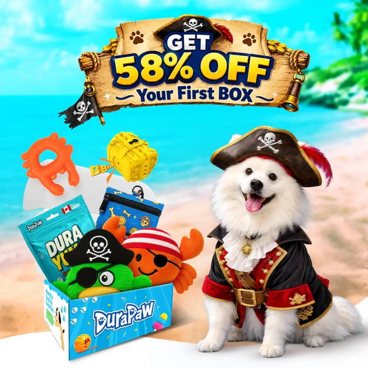 DuraPaw Dog Subscription Boxes Canada