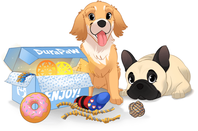 DuraPaw Box Premium Monthly Dog Subscription Box in Canada