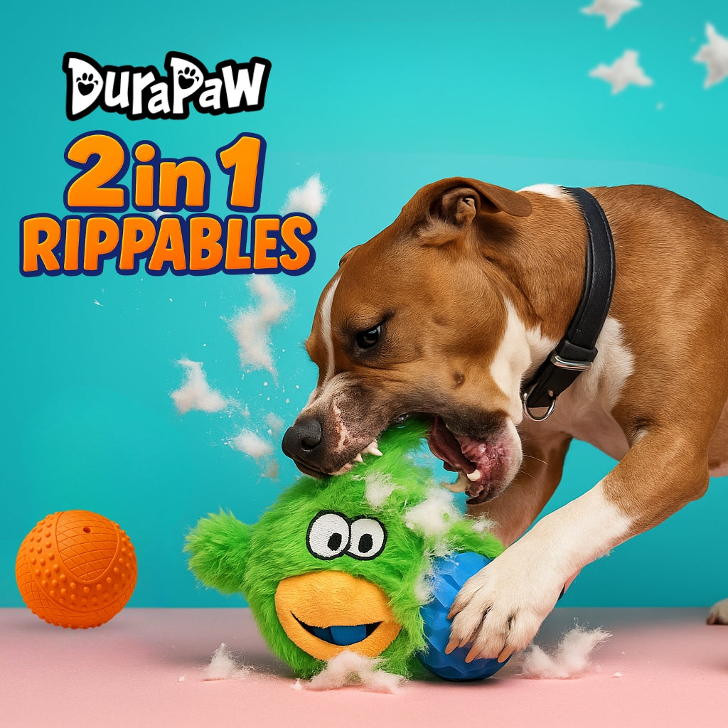 DuraPaw Rip Reveal Rippables 2 in 1 Super Tough Dog Chew Toys Canada Designed