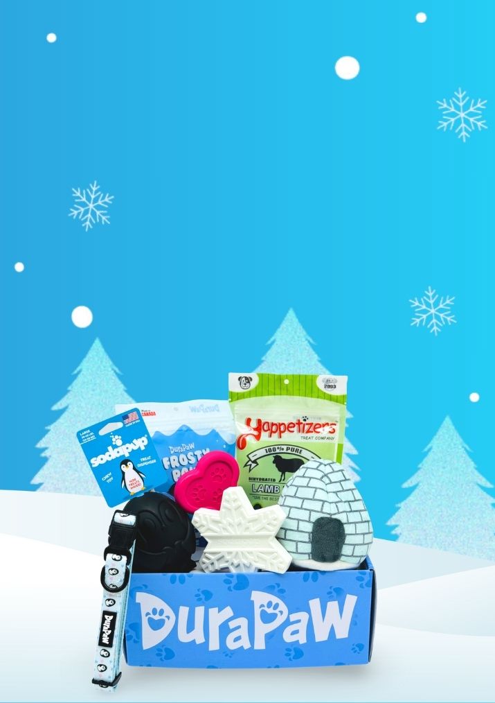 Snow Arctic Adventures Theme Dog Subscription Box