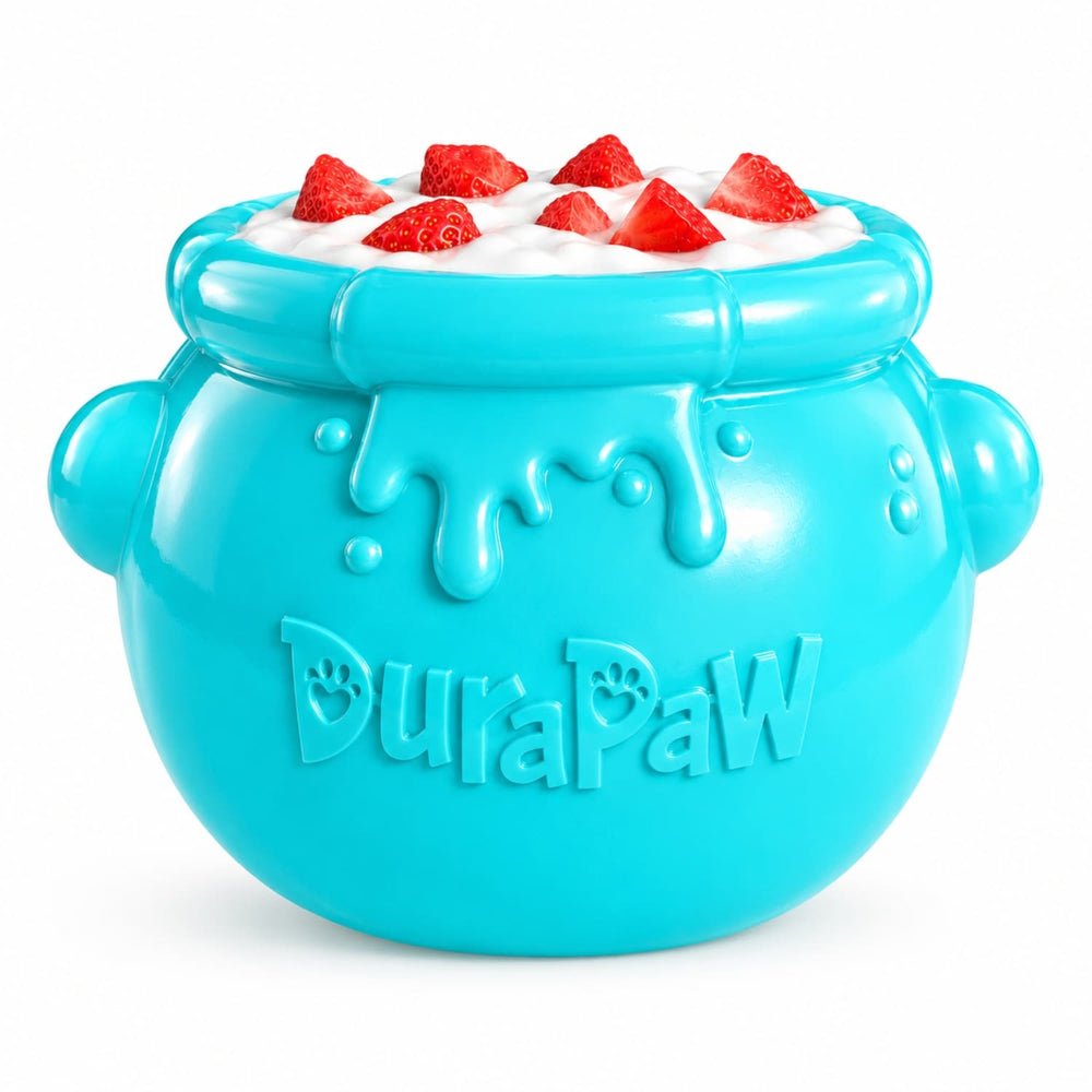 Splash Paws Enrichment Fish Bowl