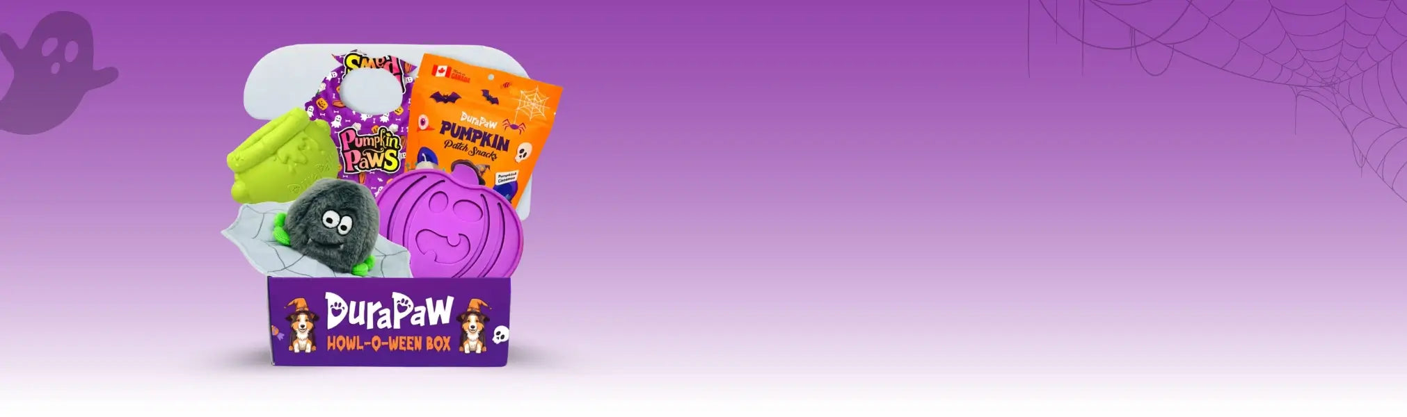 DuraPaw Purple Halloween Dog Toy Gift Box Banner