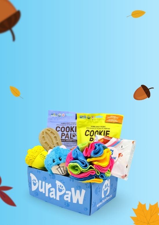 Nutty Squirrel Themed Dog Subscription Box