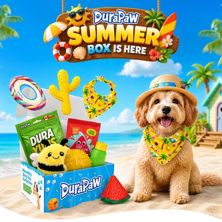 DuraPaw Summer Monthly themed dog toy subscription Box with dog toys and treats on a beach background