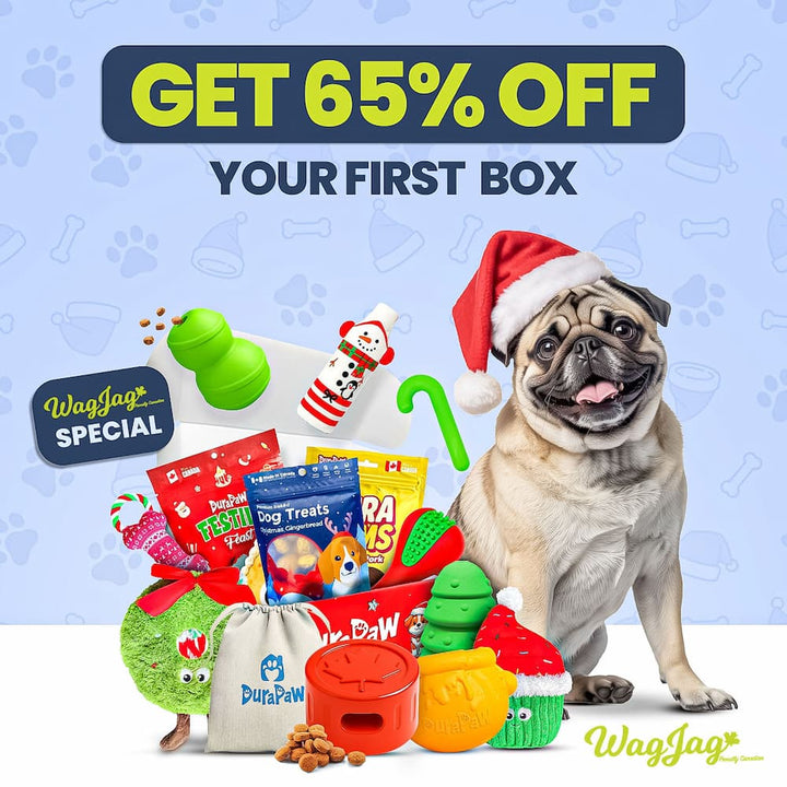 Wag Tag DuraPaw X Wagjag | Canadian Monthly Dog Subscription Box