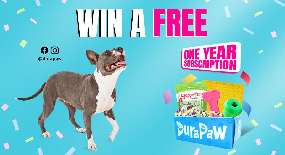 Win Free Year Dog Toy Subscription Box