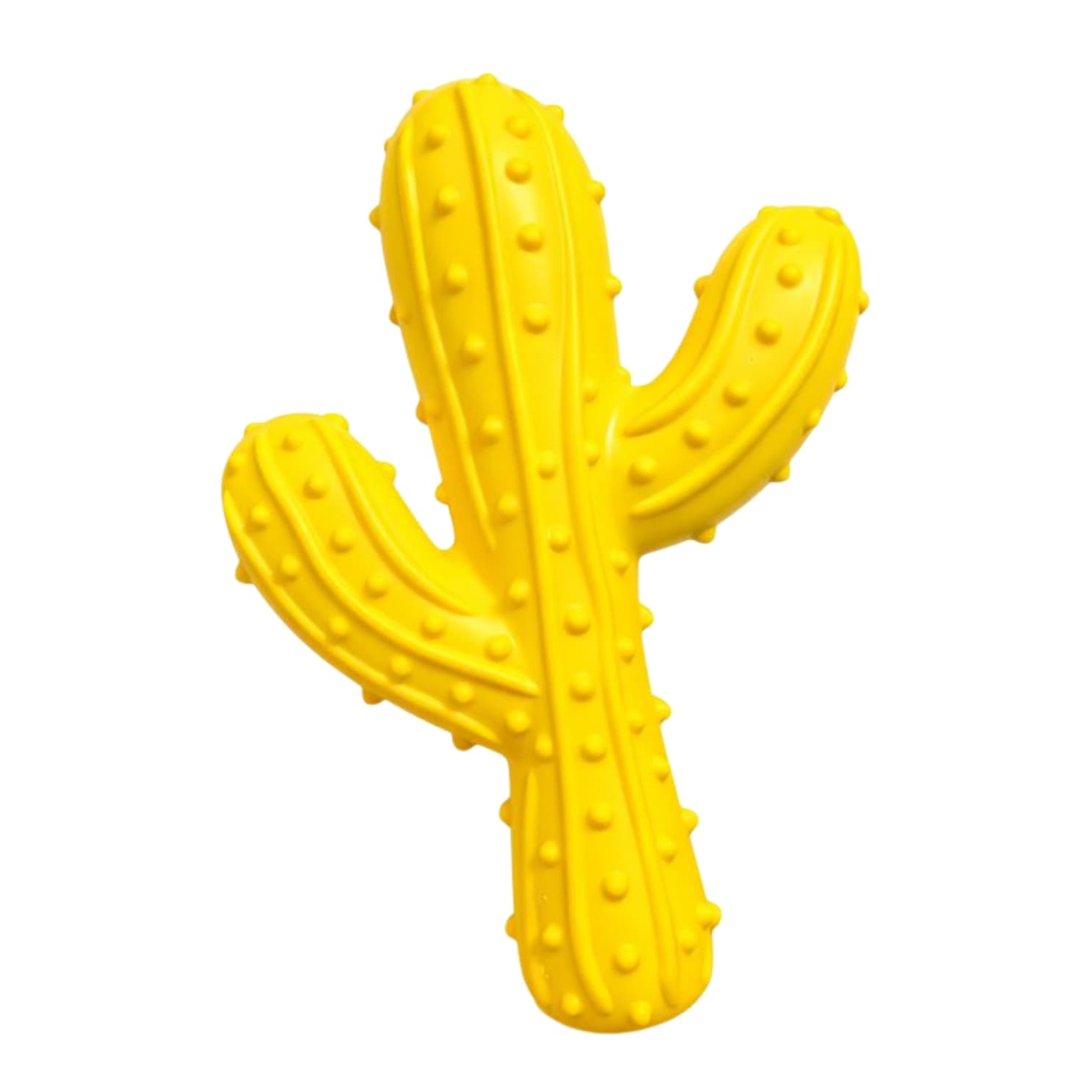 Pawty Prickles Cactus Tough Chew Toy