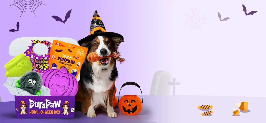DuraPaw Monthly Dog Toy Subscription Themed Box