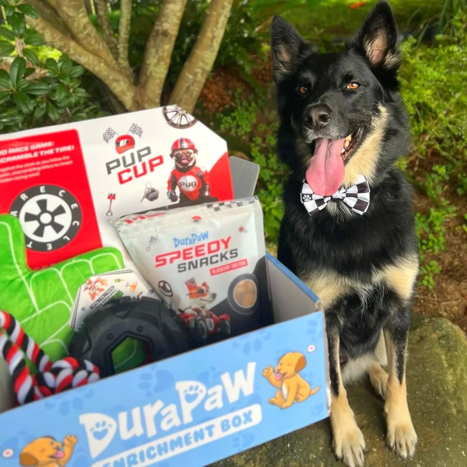 Enrichment Box Monthly Subscription