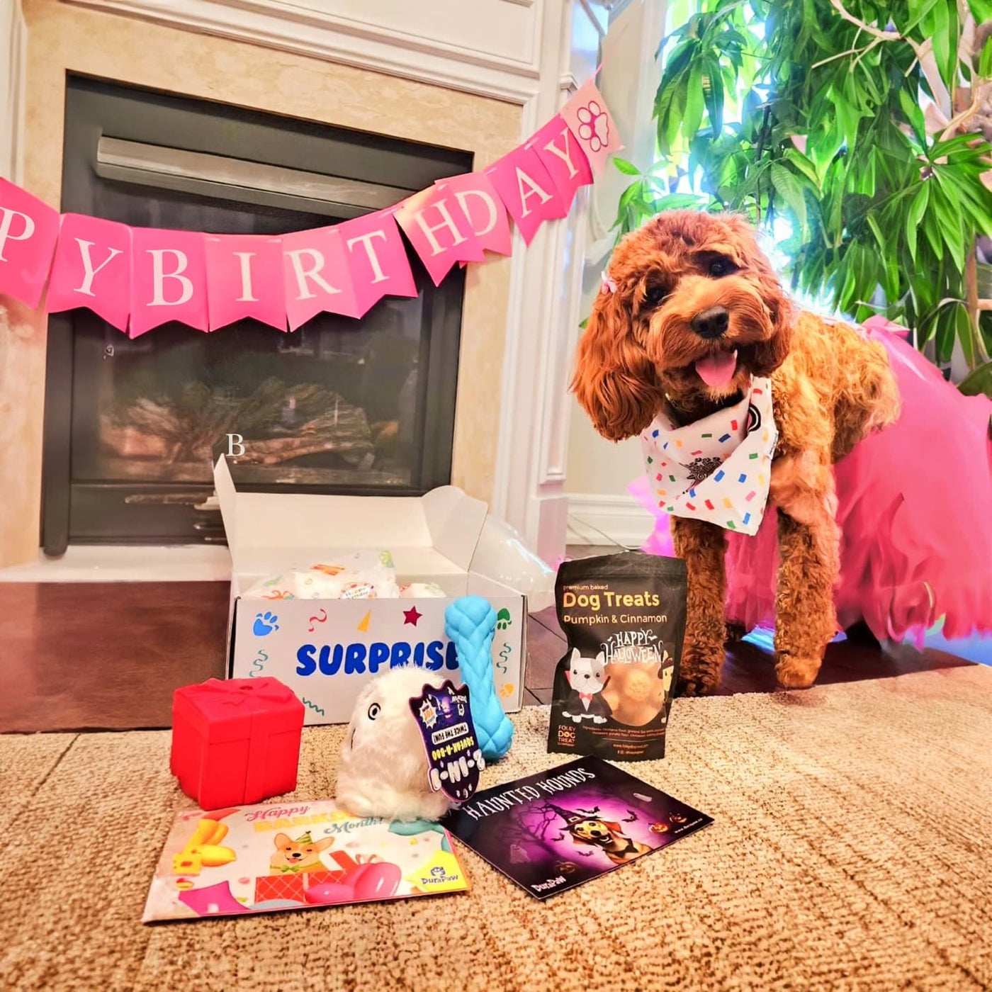 Dog Birthday Holiday Subscription Box Personalized Gift Idea