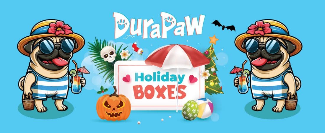 DuraPaw Dog Subscription Boxes Canada