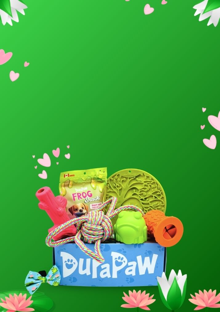 Lilypad Romance Valentines Frog Theme Dog Subscription Box