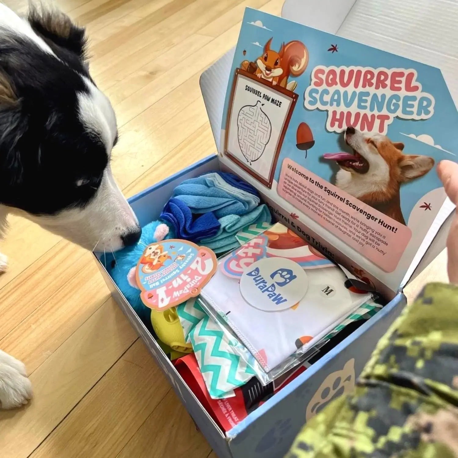Dog treat and toy boxes online