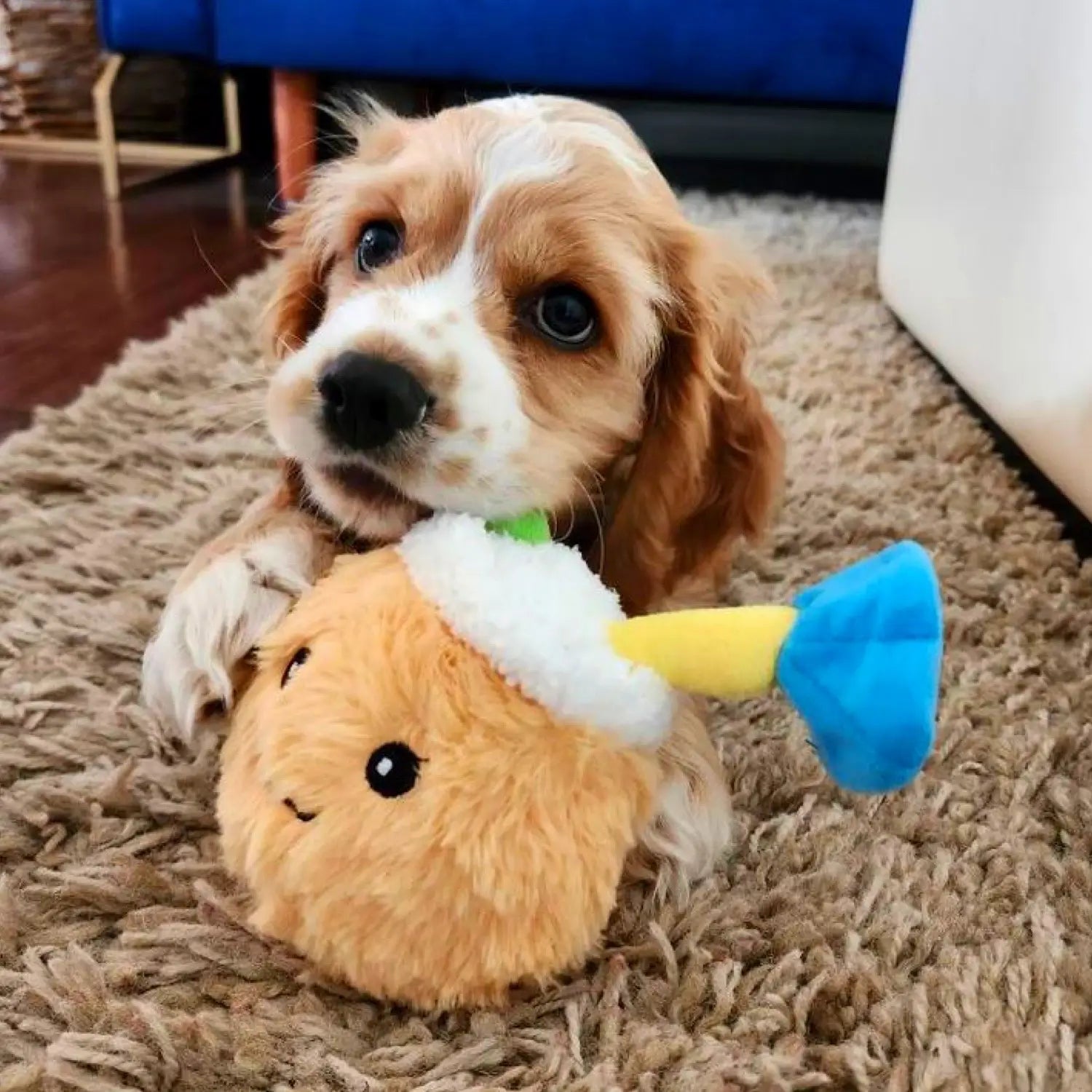 DuraPaw 2 in 1 Coco Nutty Rippables Surprise Dog Toy