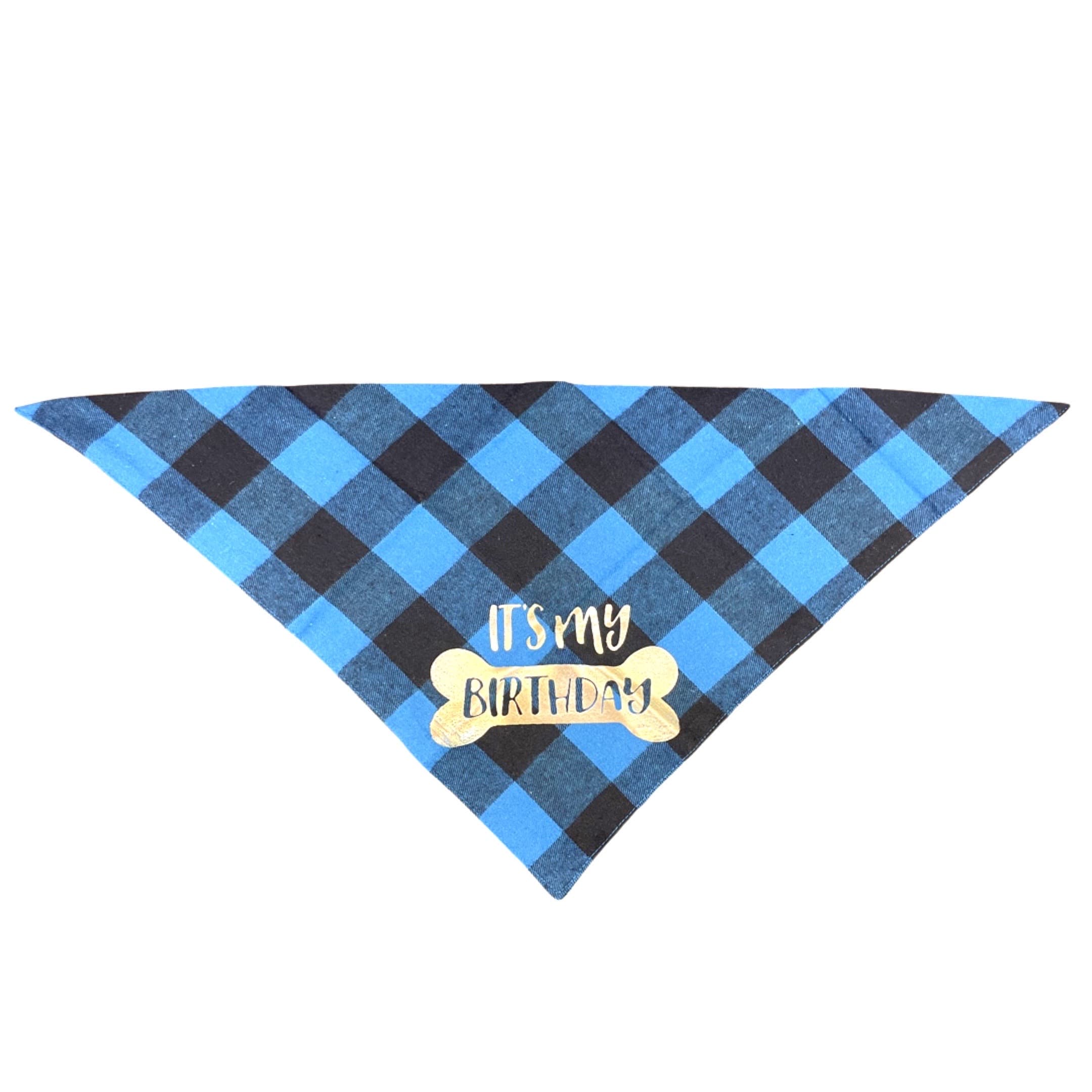 Male Dog First Birthday Gift Idea