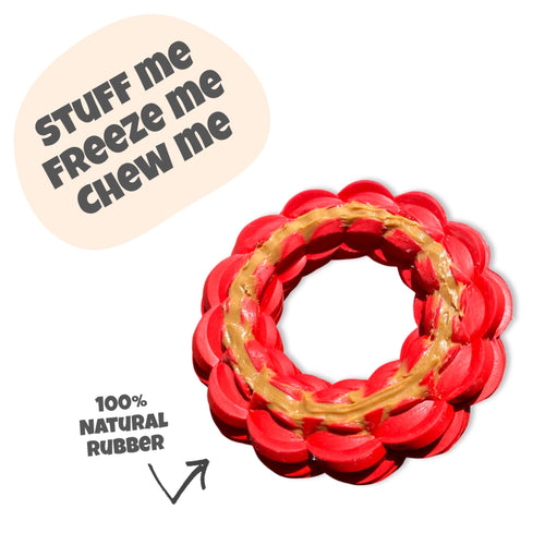 DuraPaw Tough Dog Toys Canada Tough Toys That Last