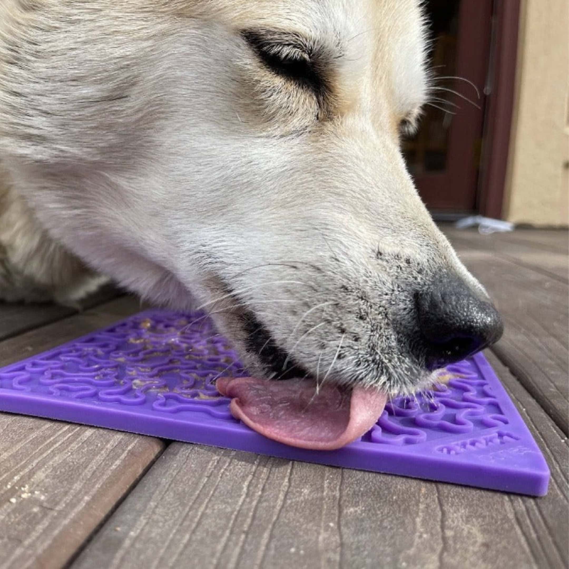 Dog Licking Purple Bones Lick Mat Toy