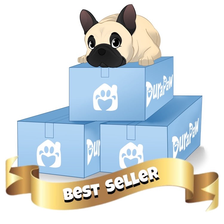 Dog Subscription Box Canada 3 Month Best Seller