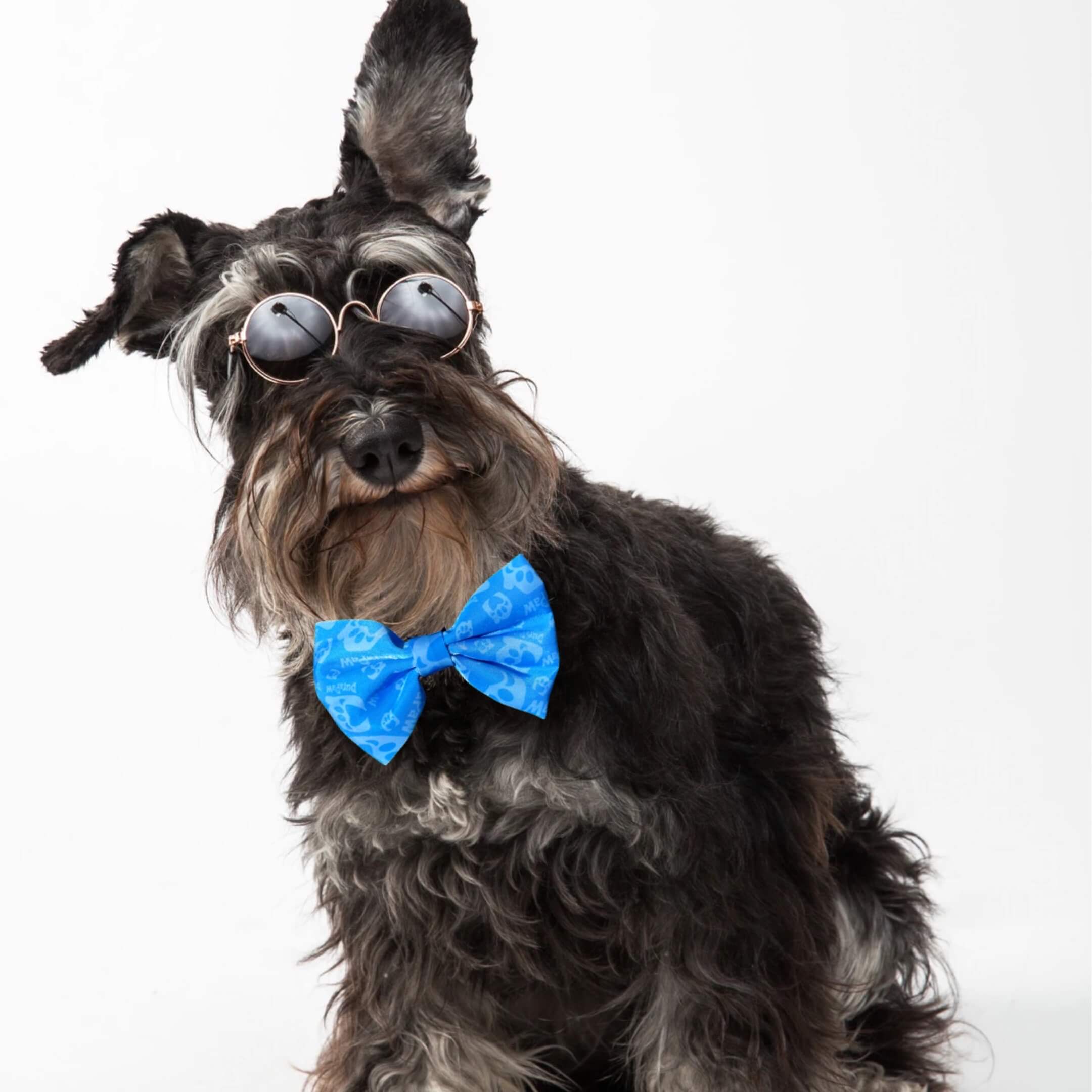 Dog Bow Tie Accessory
