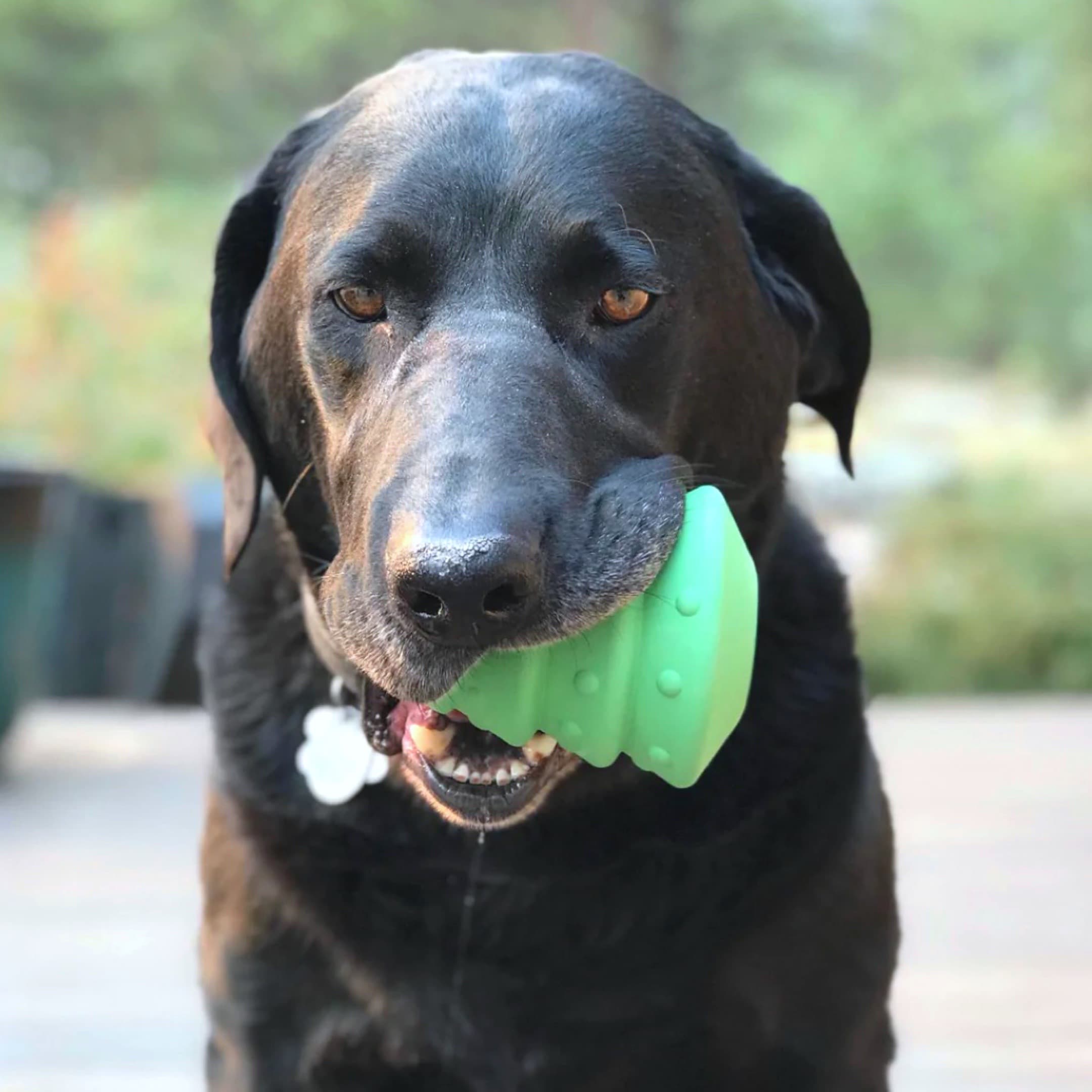 Power Chewer Dog Toys Canada