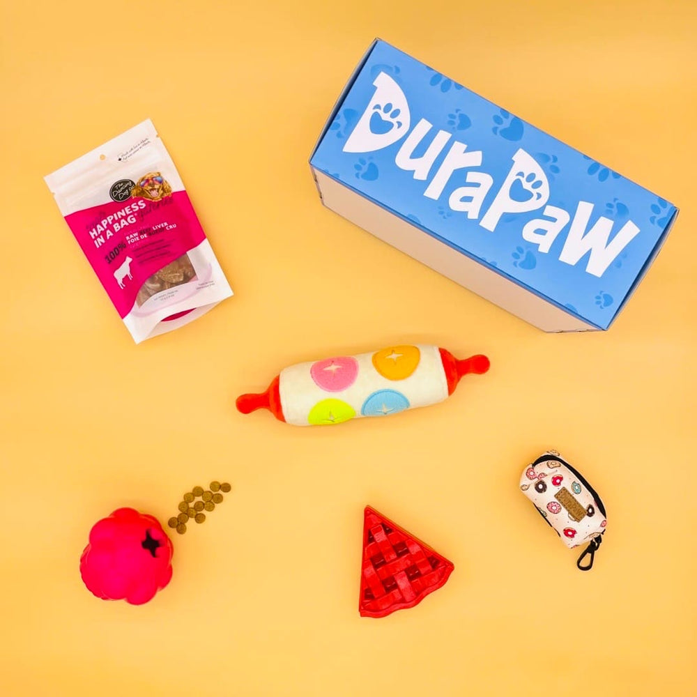 DuraPaw Ultimate Dog Toy Enrichment Subscription Box in Canada